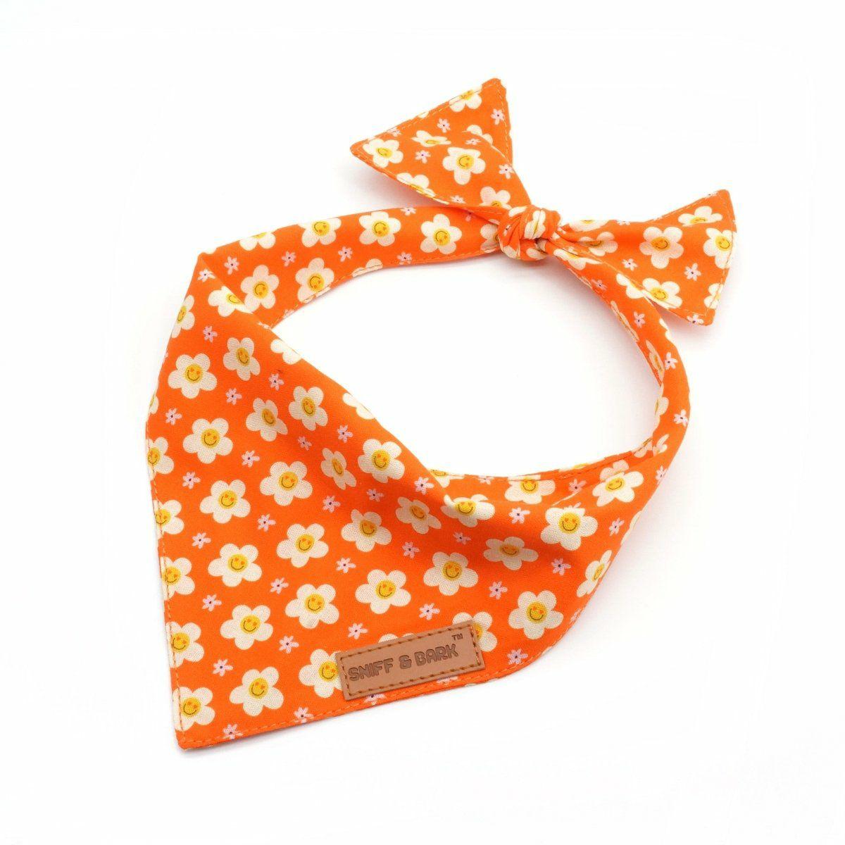 Bandana | Dogs Tangerine Dreams Bandana