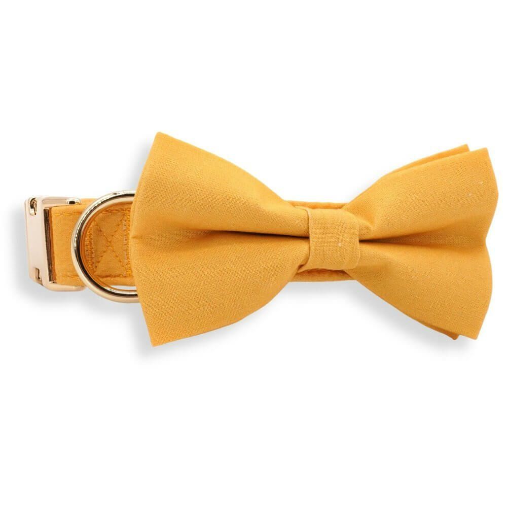 Bow Tie Collar | Dogs Baby Orange Bow Tie Unbreakable Collar™