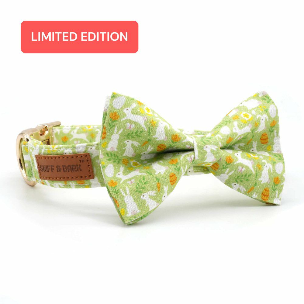 Bow Tie Collar | Dogs Bunny Fields Bow Tie Unbreakable Collar™