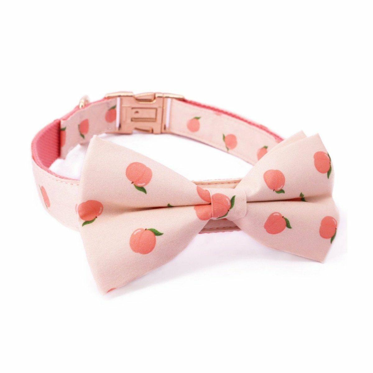 Bow Tie Collar | Dogs Peach Bow Tie Unbreakable Collar™