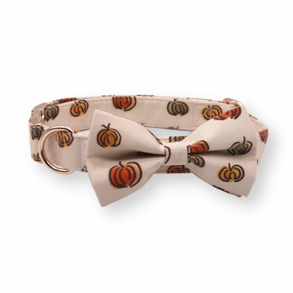 Bow Tie Collar | Dogs Pumpkin Bow Tie Unbreakable Collar™