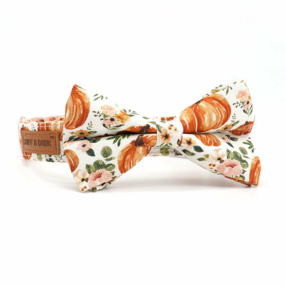 Bow Tie Collar | Dogs Pup-kin Spice Bow Tie Unbreakable Collar™