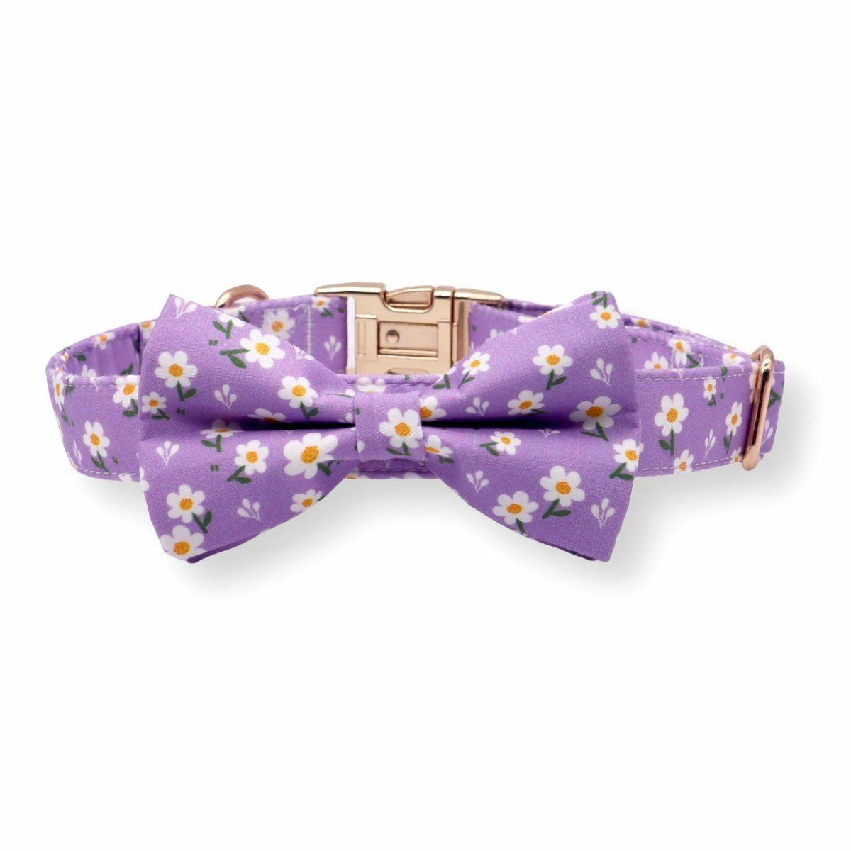 Bow Tie Collar | Dogs Purple Daisy Bow Tie Unbreakable Collar™