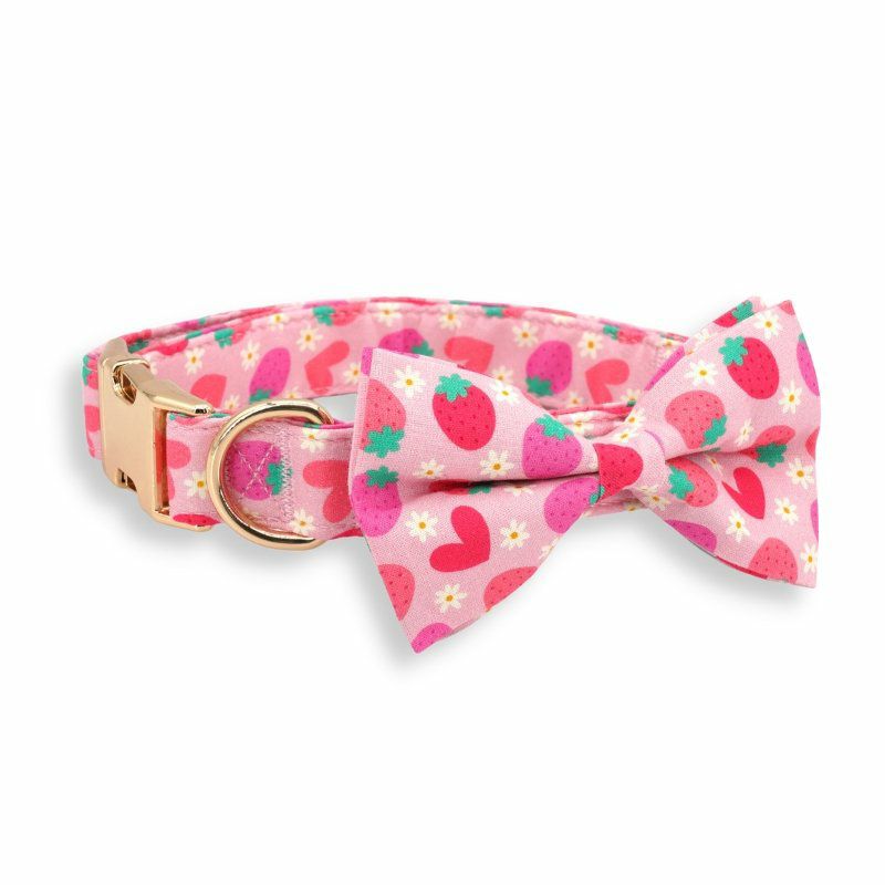 Bow Tie Collar | Dogs Strawberry Shortcake Bow Tie Unbreakable Collar™