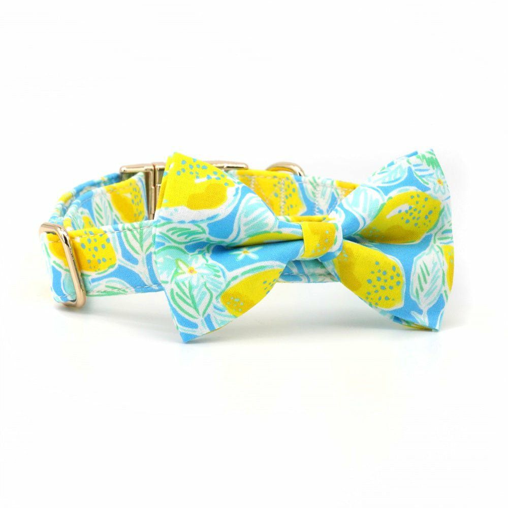 Bow Tie Collar | Dogs Summer Lemons Bow Tie Unbreakable Collar™