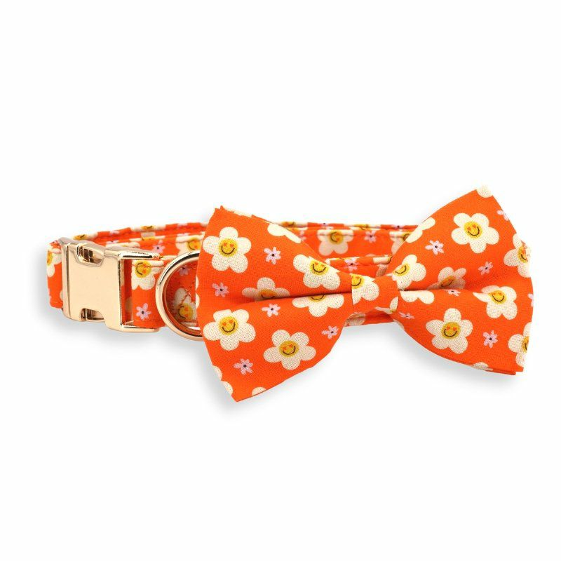 Bow Tie Collar | Dogs Tangerine Dreams Bow Tie Unbreakable Collar™