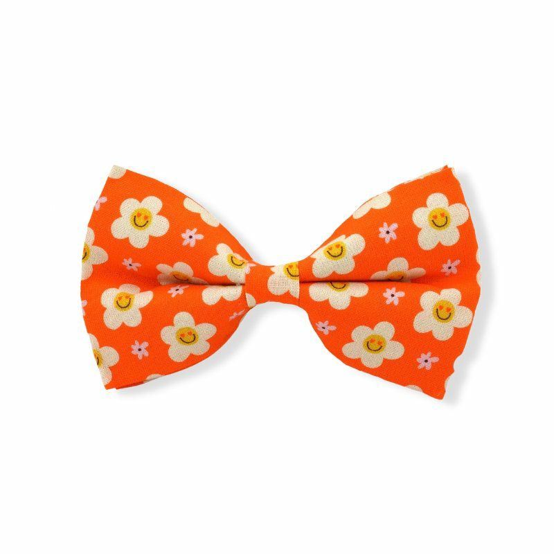 Bow Ties / Flowers | Dogs Tangerine Dreams Bow Tie