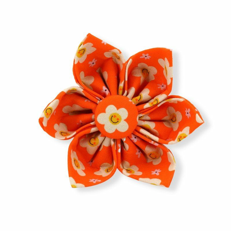 Bow Ties / Flowers | Dogs Tangerine Dreams Flower