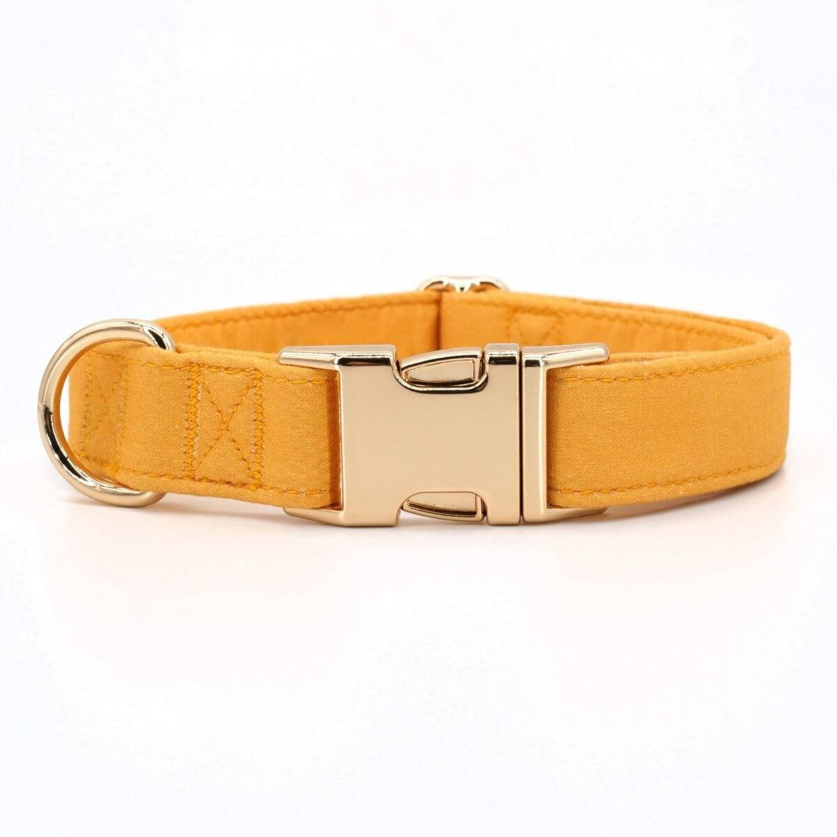 Collars | Dogs Baby Orange Unbreakable Collar™