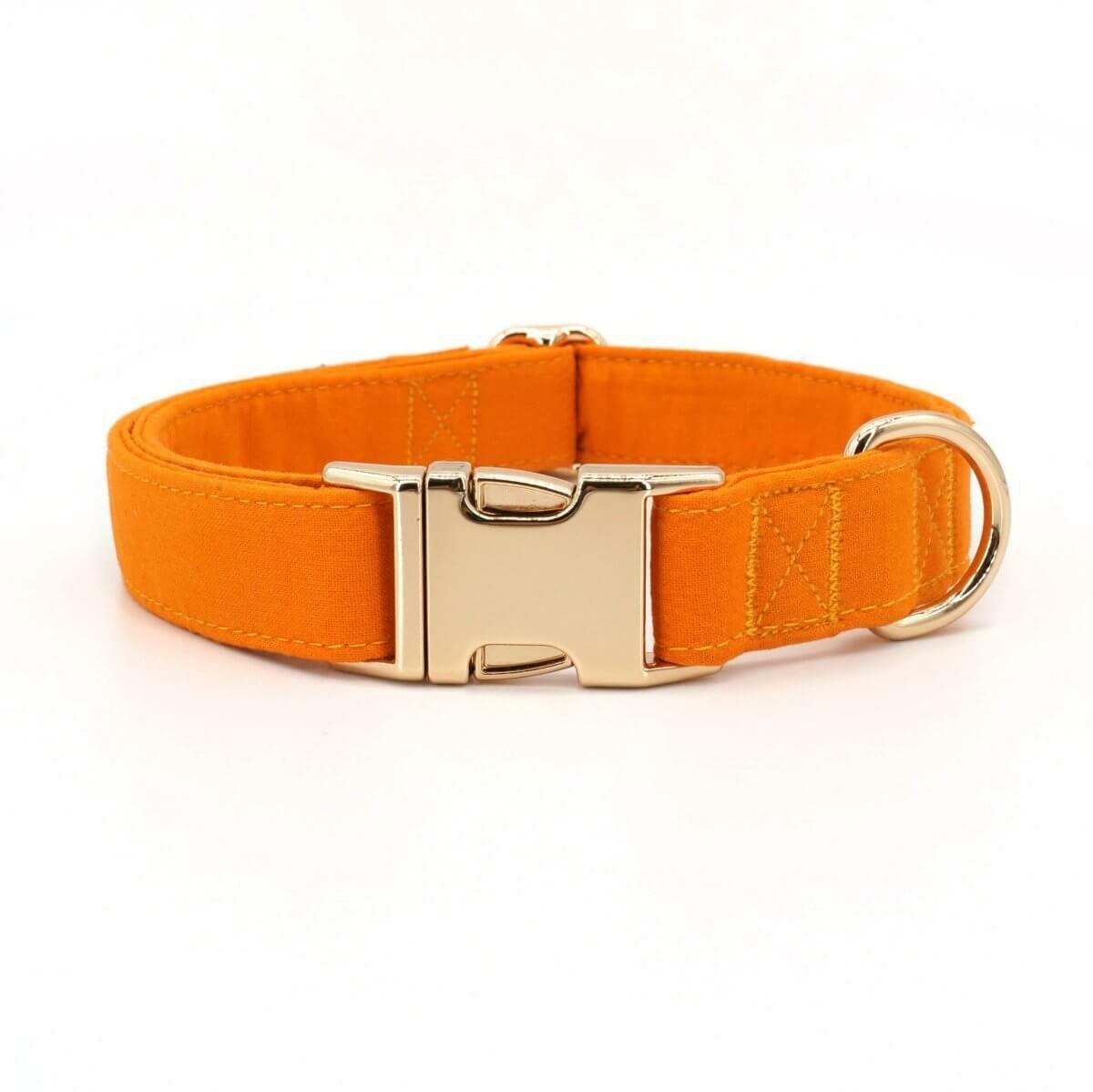 Collars | Dogs Bright Orange Unbreakable Collar™