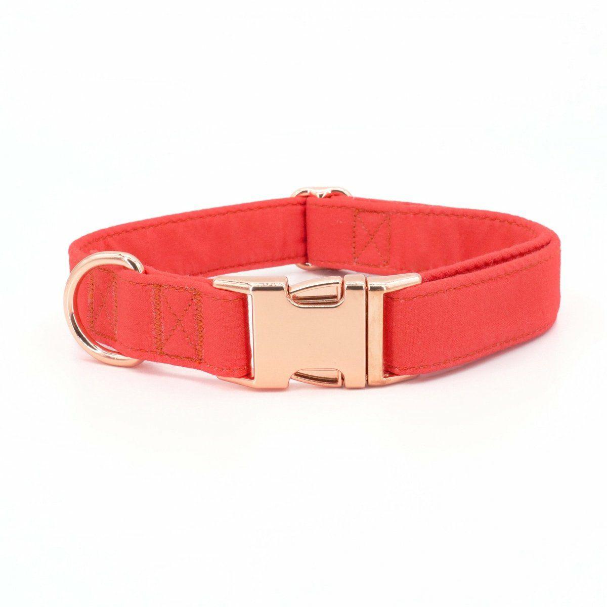 Collars | Dogs Bright Pink Unbreakable Collar™