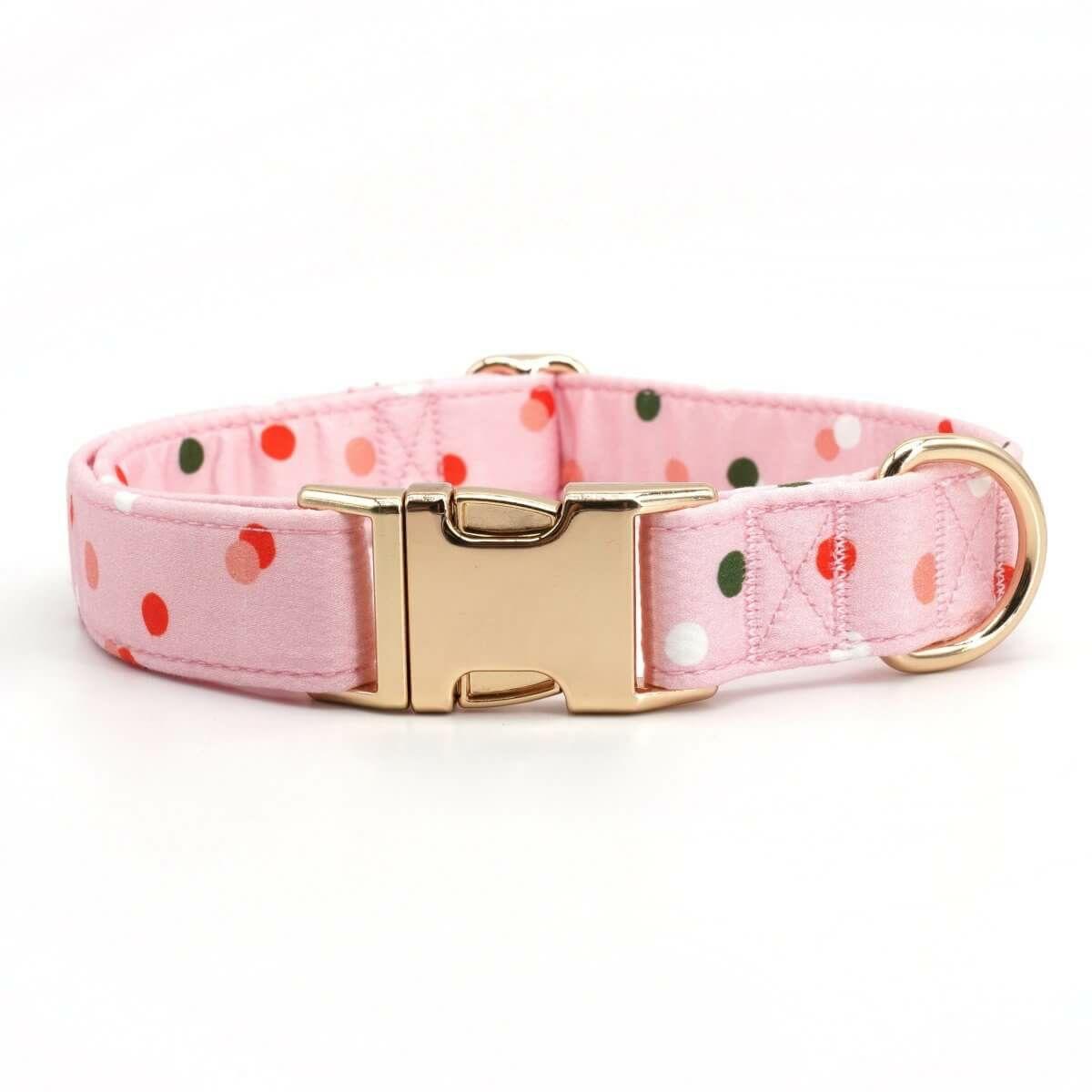 Collars | Dogs Confetti Unbreakable Collar™