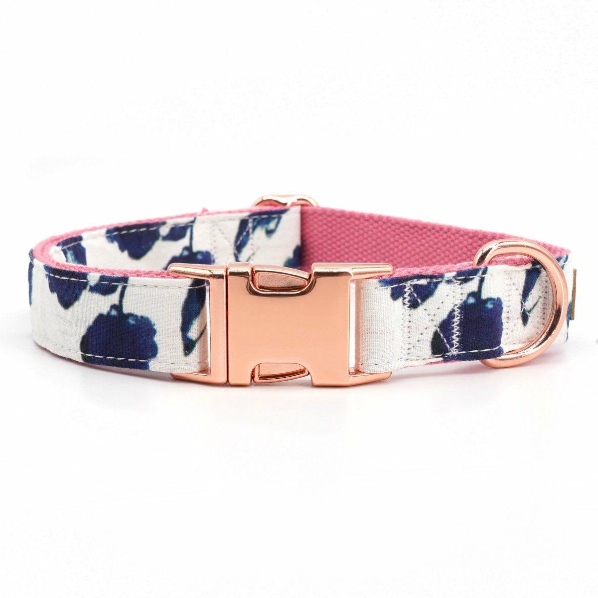 Collars | Dogs Ivy Unbreakable Collar™