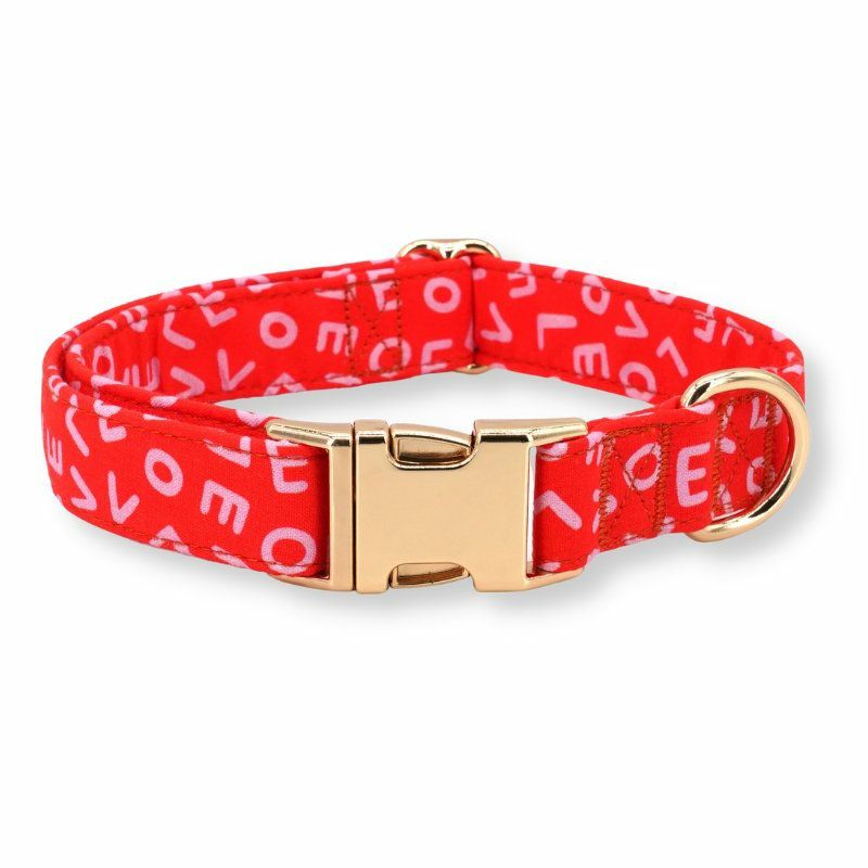 Collars | Dogs Love Letters Unbreakable Collar™