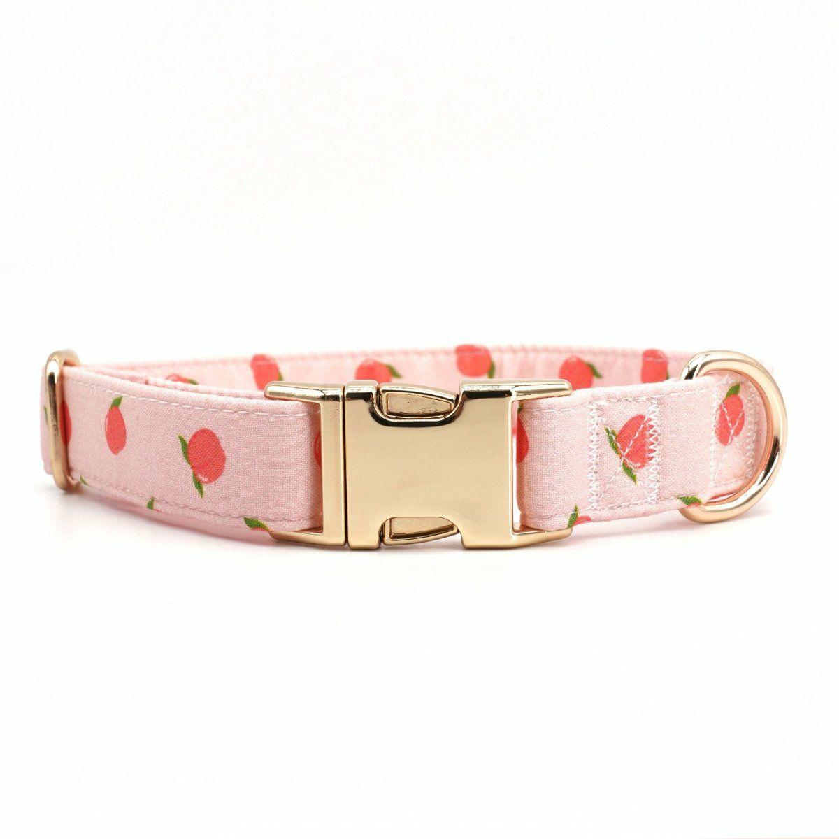 Collars | Dogs Peach Unbreakable Collar™