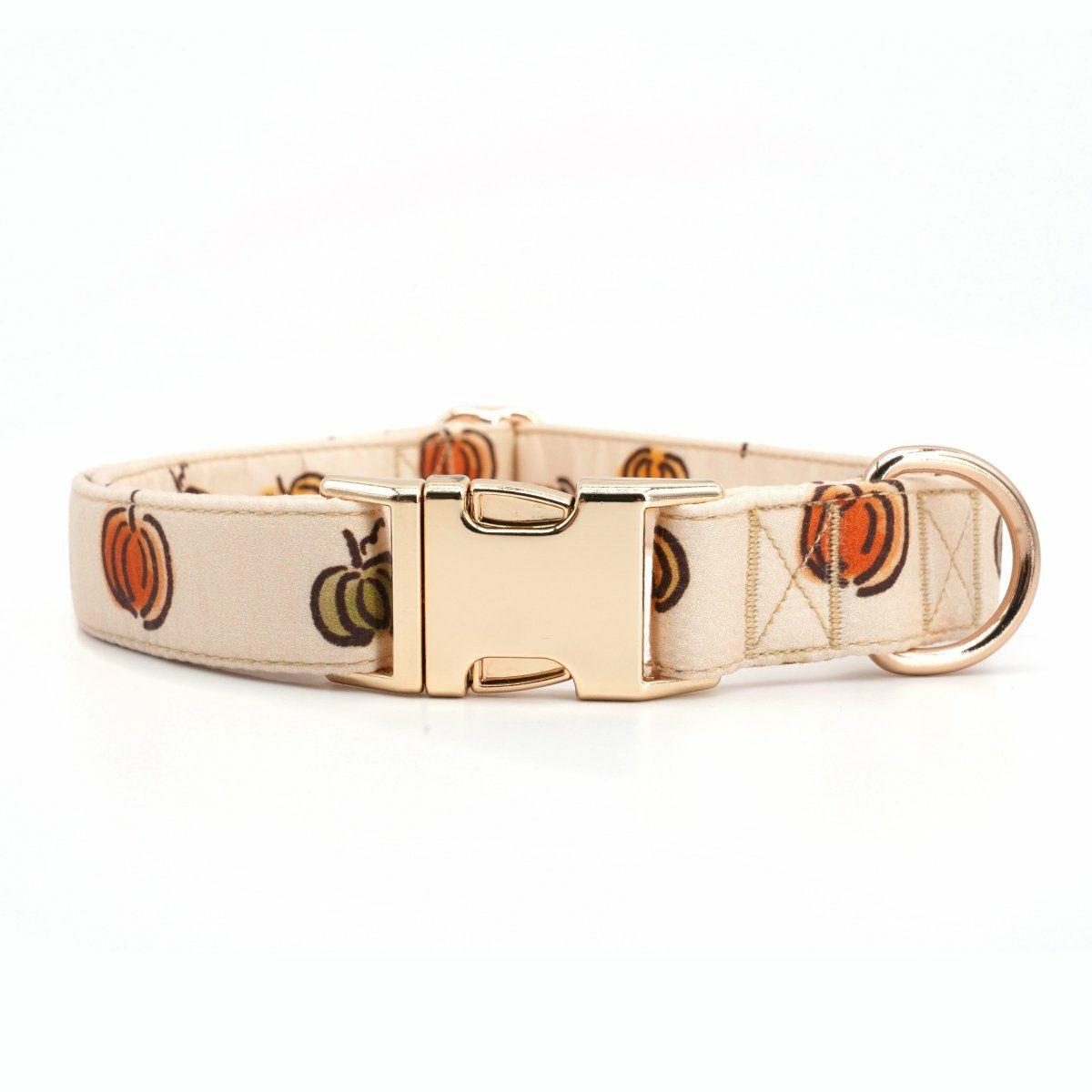 Collars | Dogs Pumpkin Unbreakable Collar™