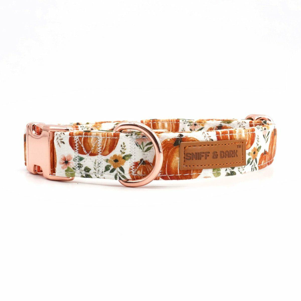 Collars | Dogs Pup-kin Spice Unbreakable Collar™