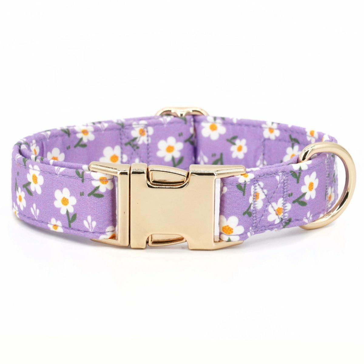 Collars | Dogs Purple Daisy Unbreakable Collar™