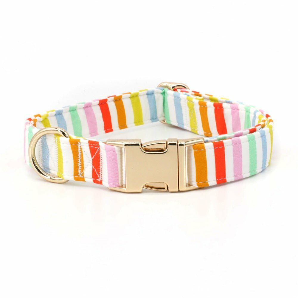 Collars | Dogs Santa Monica Unbreakable Collar™