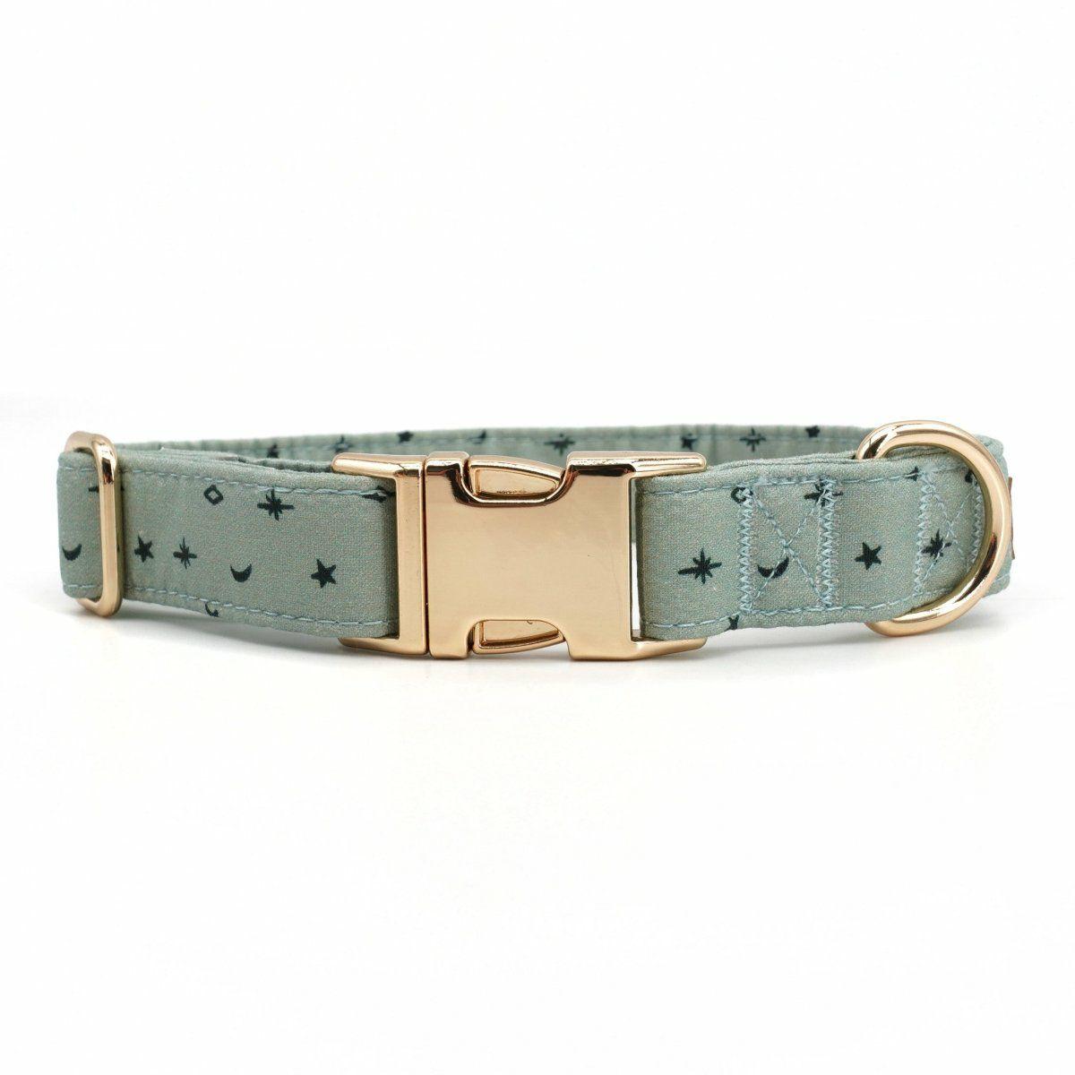 Collars | Dogs Stars Unbreakable Collar™