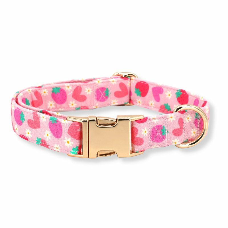 Collars | Dogs Strawberry Shortcake Unbreakable Collar™