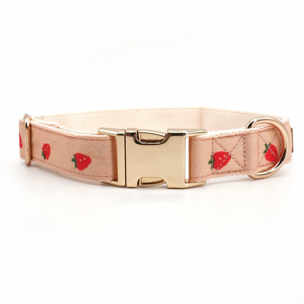 Collars | Dogs Strawberry Unbreakable Collar™