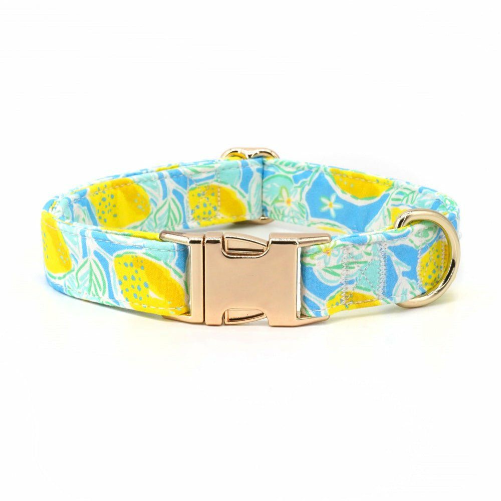 Collars | Dogs Summer Lemons Unbreakable Collar™