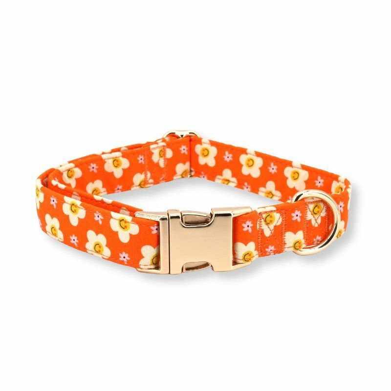 Collars | Dogs Tangerine Dreams Unbreakable Collar™