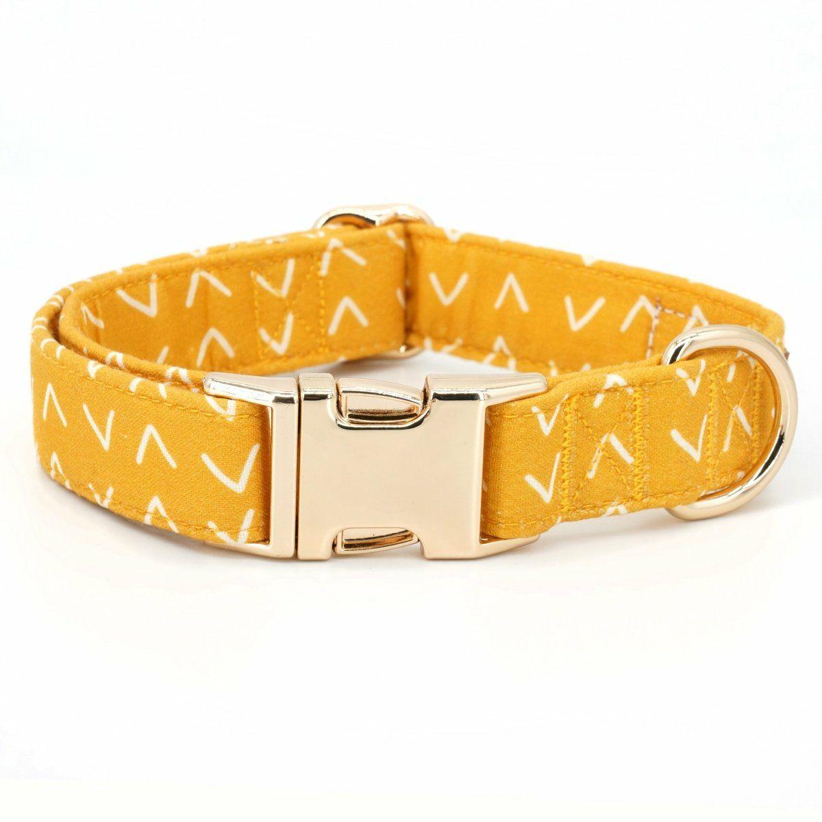 Collars | Dogs Yellow Arrow Unbreakable Collar™