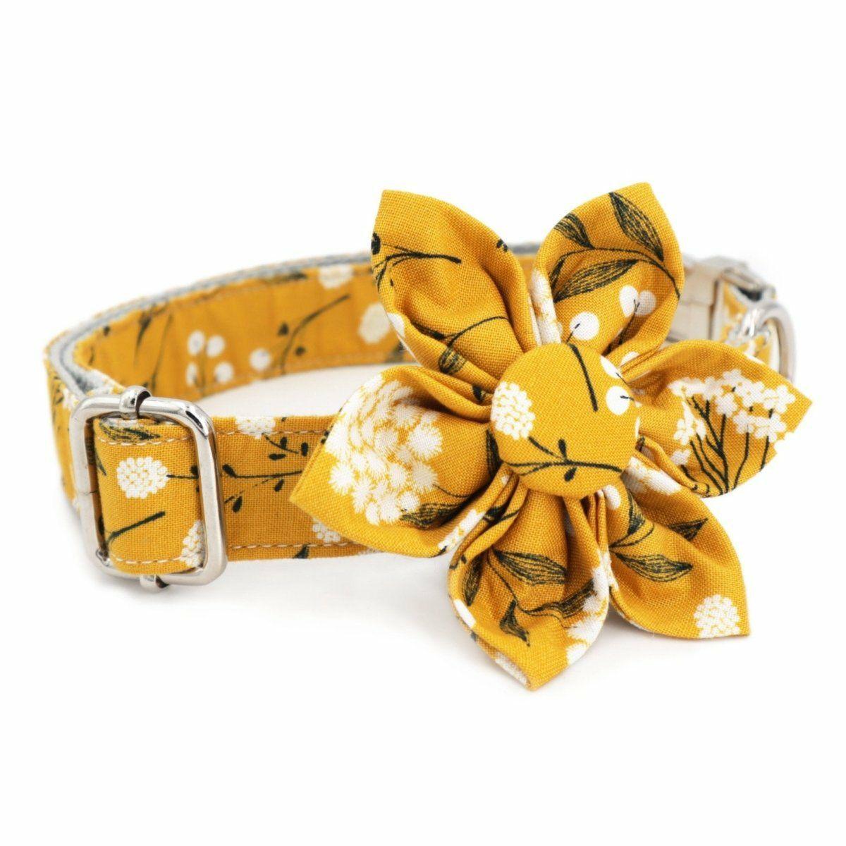 Flower Collar | Dogs Daisy Flower Unbreakable Collar™