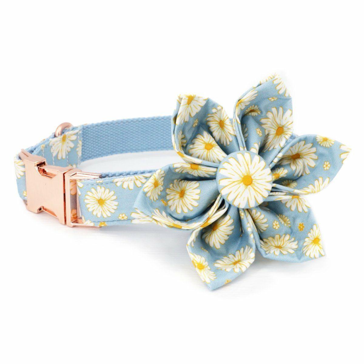 Flower Collar | Dogs Day Dream Flower Unbreakable Collar™