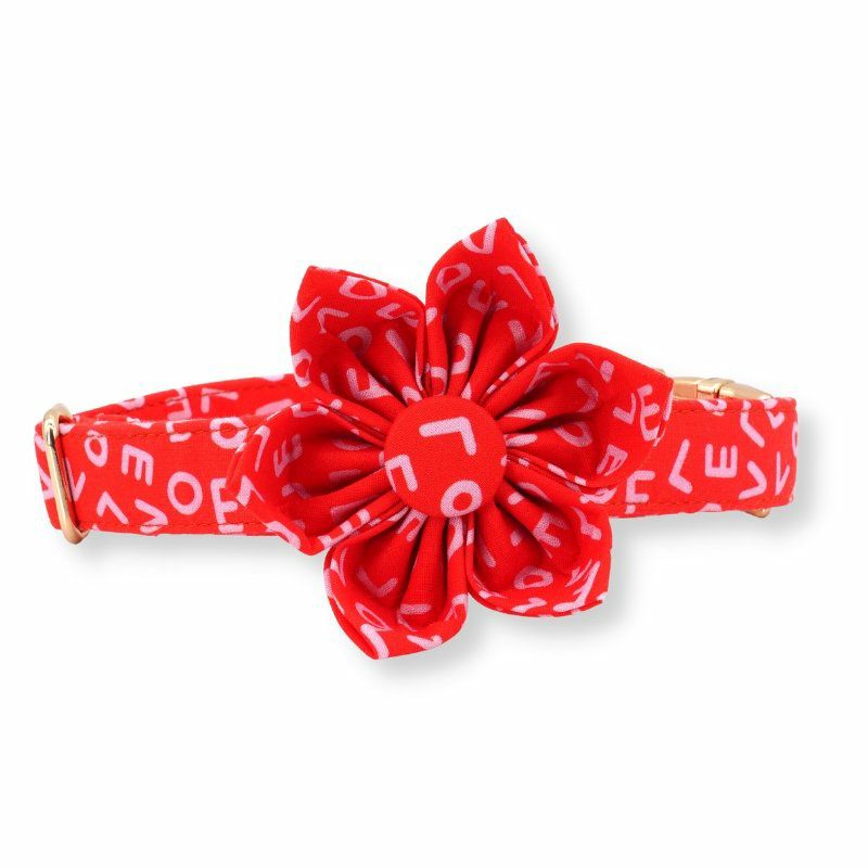 Flower Collar | Dogs Love Letters Flower Unbreakable Collar™