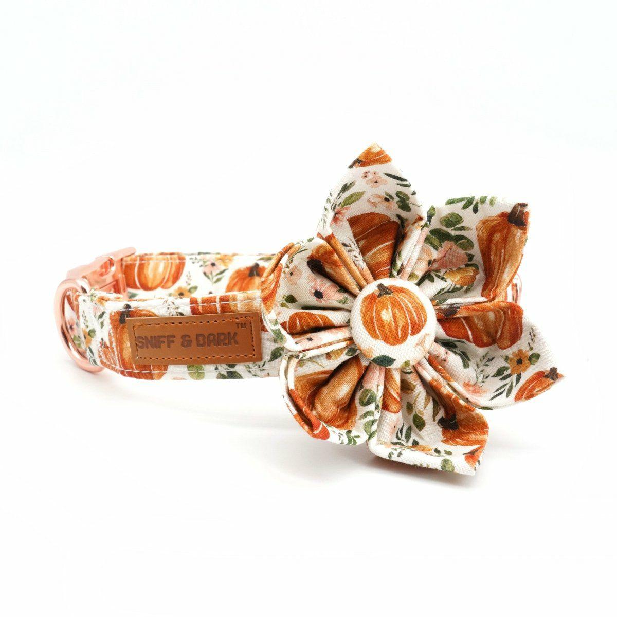 Flower Collar | Dogs Pup-kin Spice Flower Unbreakable Collar™