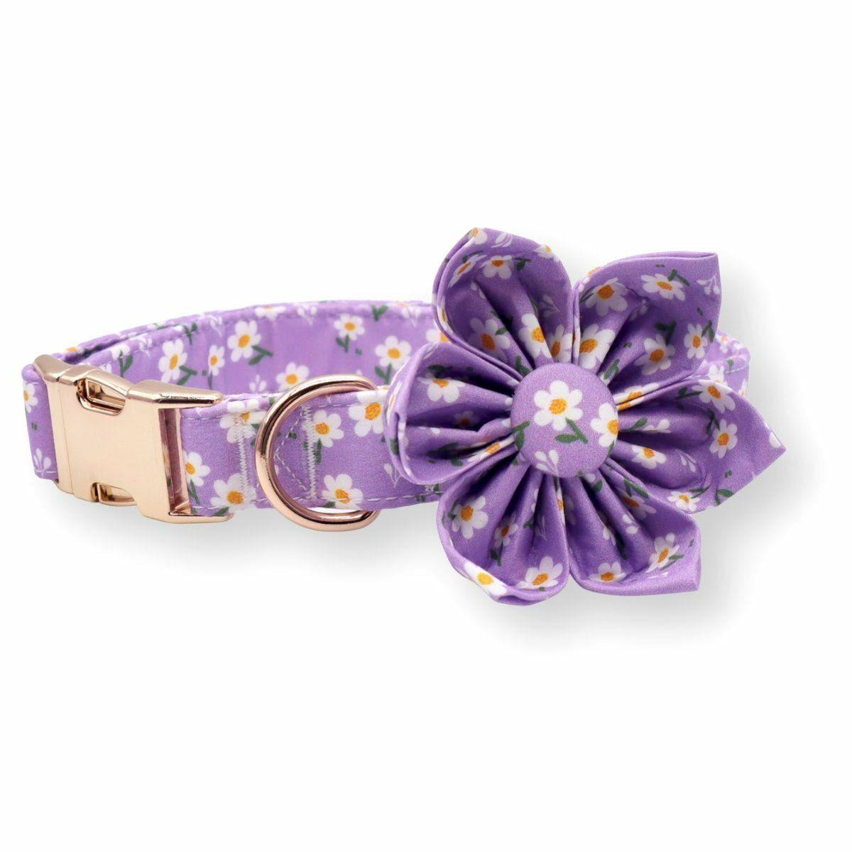 Flower Collar | Dogs Purple Daisy Flower Unbreakable Collar™