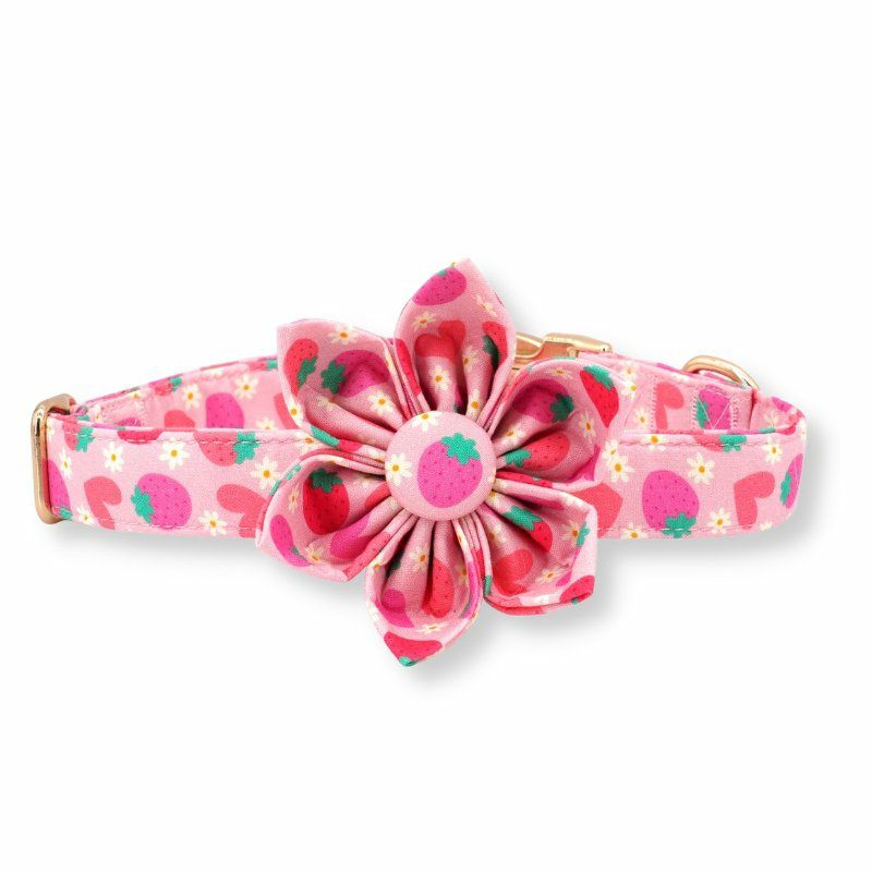 Flower Collar | Dogs Strawberry Shortcake Flower Unbreakable Collar™