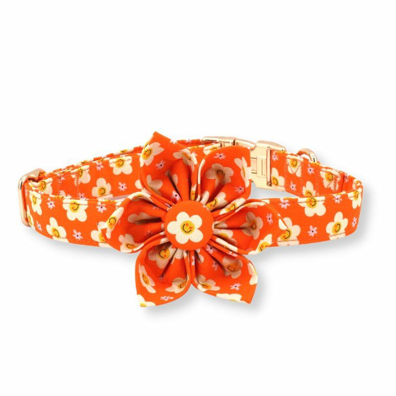 Flower Collar | Dogs Tangerine Dreams Flower Unbreakable Collar™