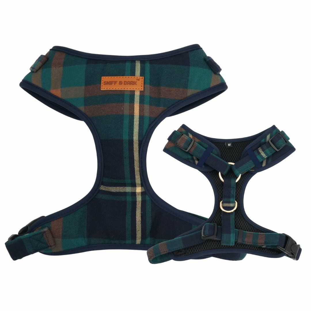 Harness | Dogs Gentleman Lockable Harness™