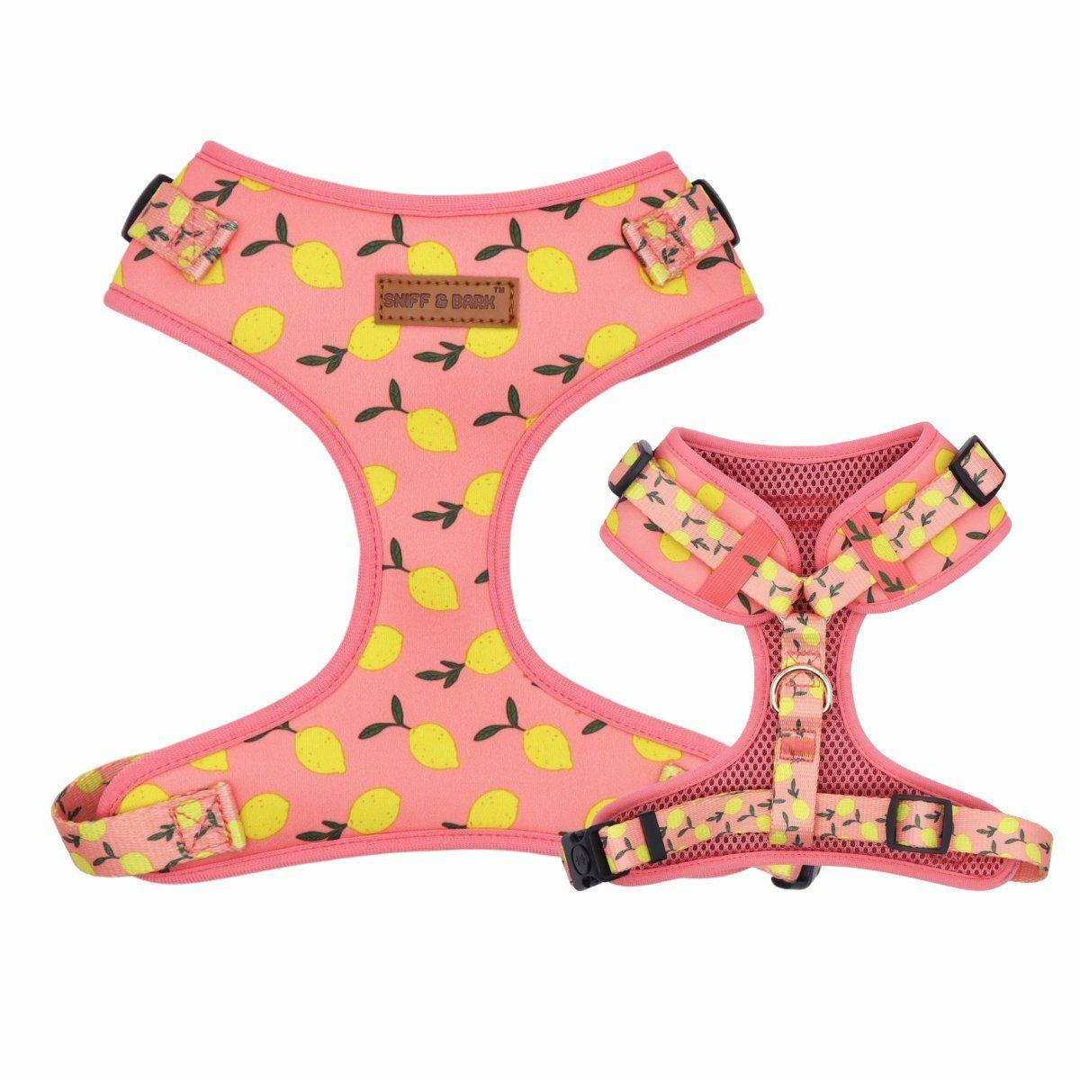 Harness | Dogs Pink Lemonade Lockable Harness™