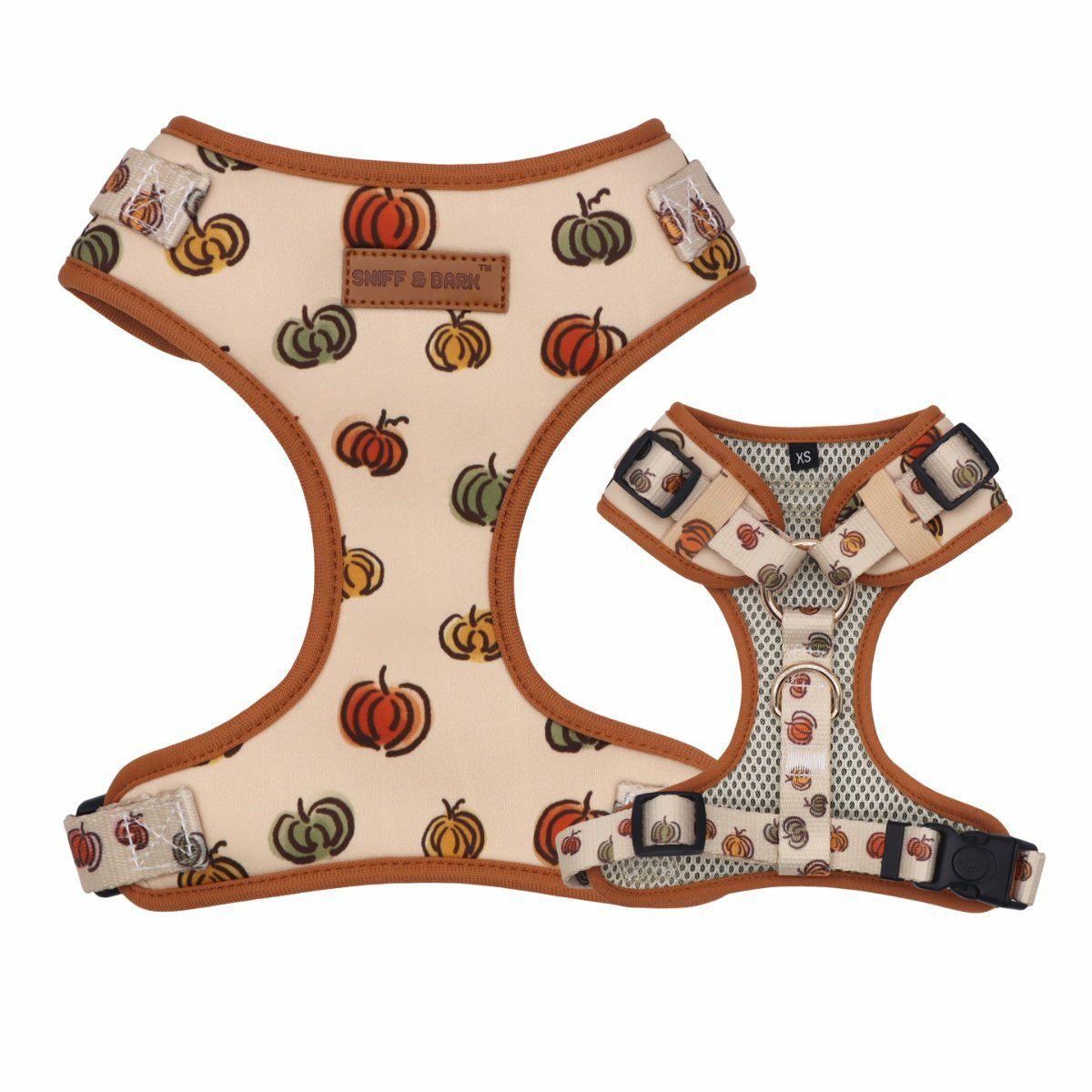 Harness | Dogs Pumpkin Lockable Harness™