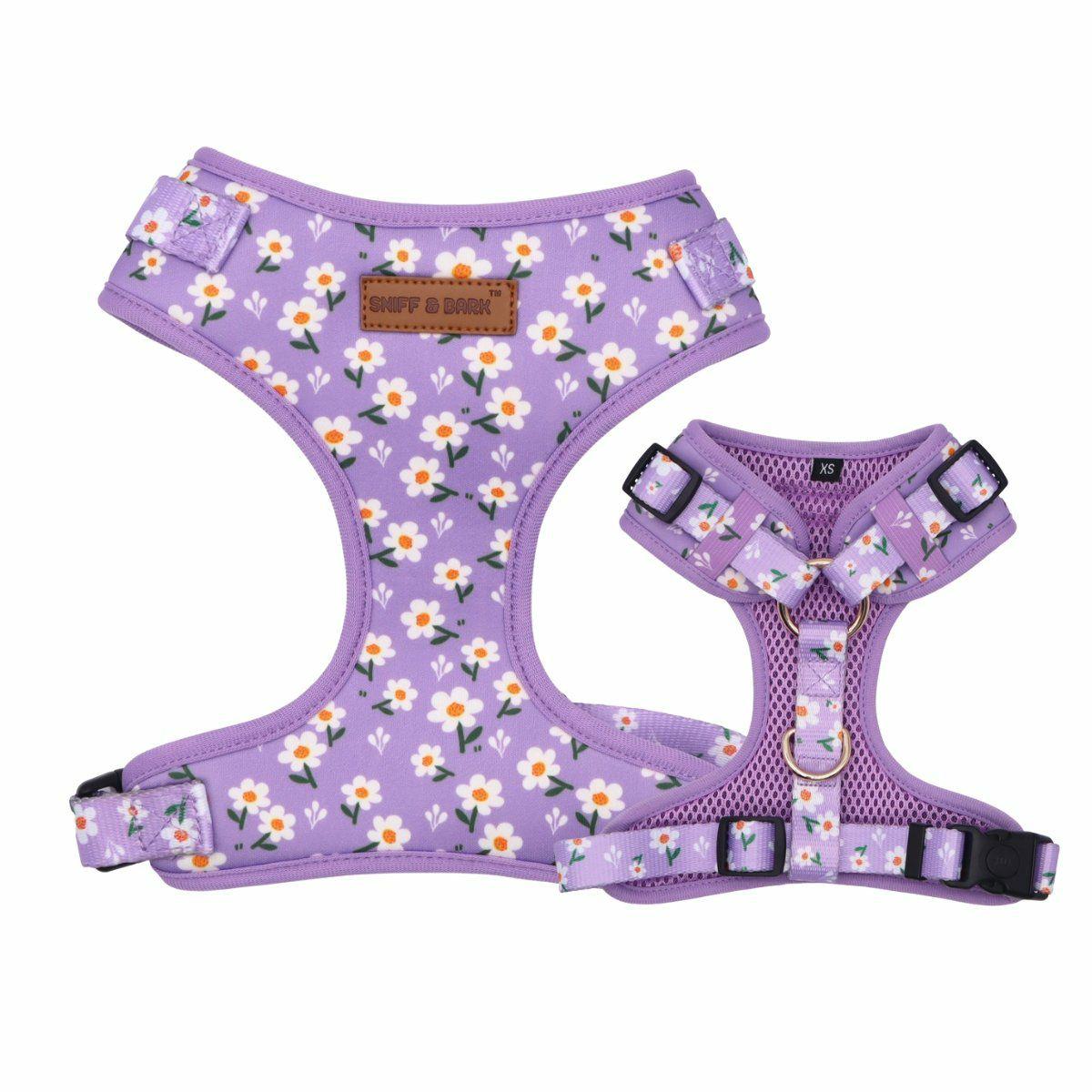 Harness | Dogs Purple Daisy Lockable Harness™