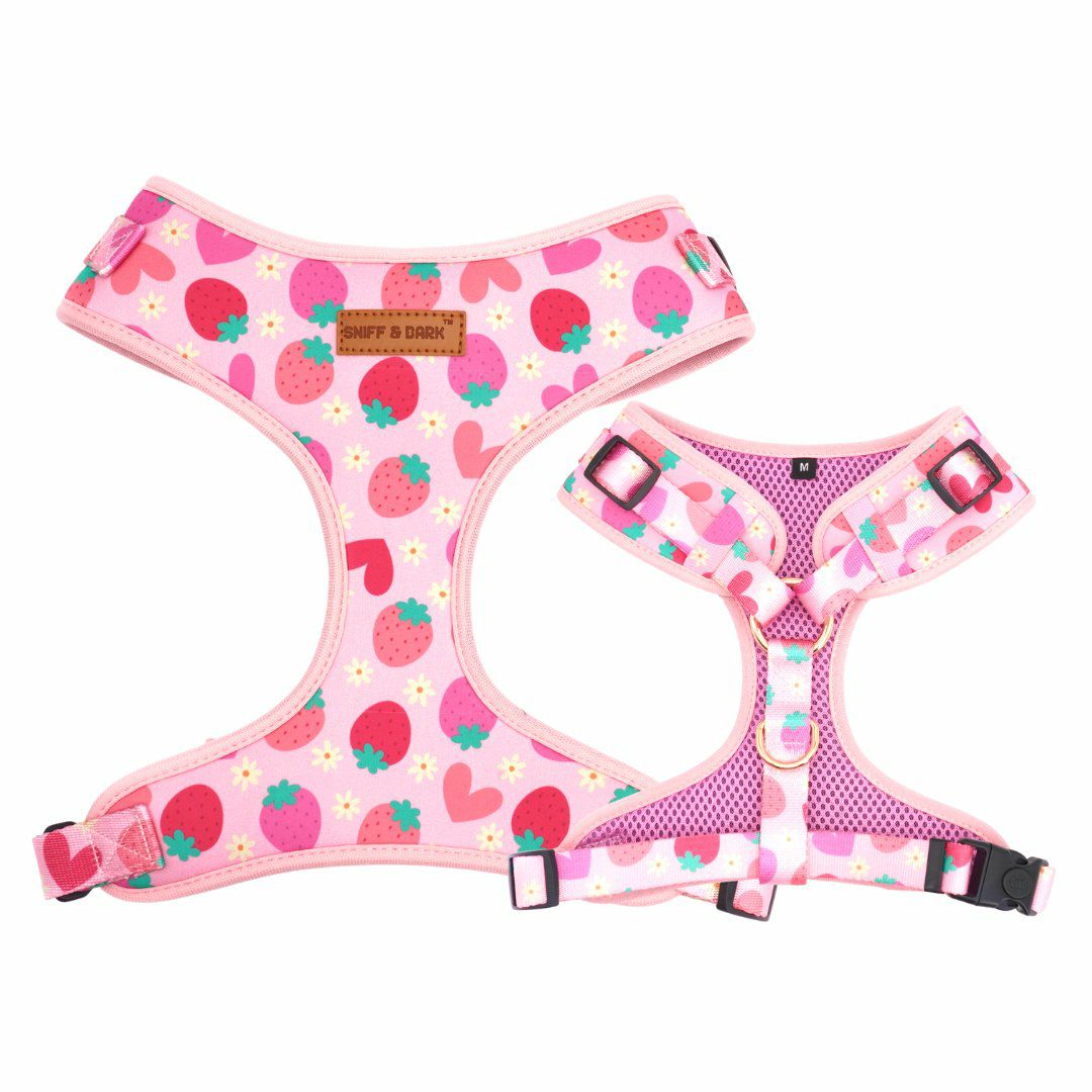 Harness | Dogs Strawberry Shortcake Lockable Harness™