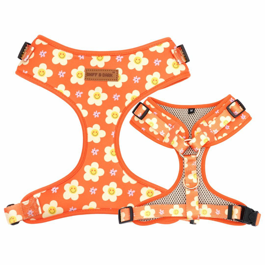 Harness | Dogs Tangerine Dreams Lockable Harness™