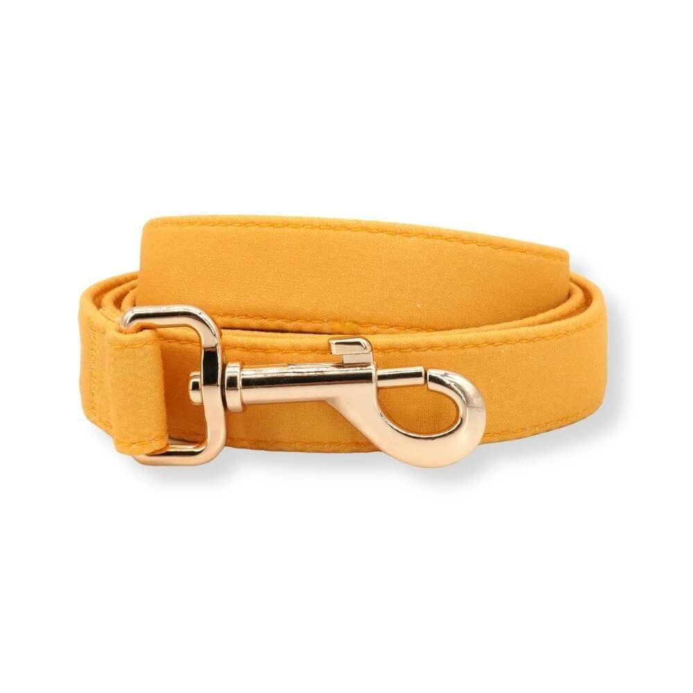 Leash | Dogs Baby Orange Unbreakable Leash™