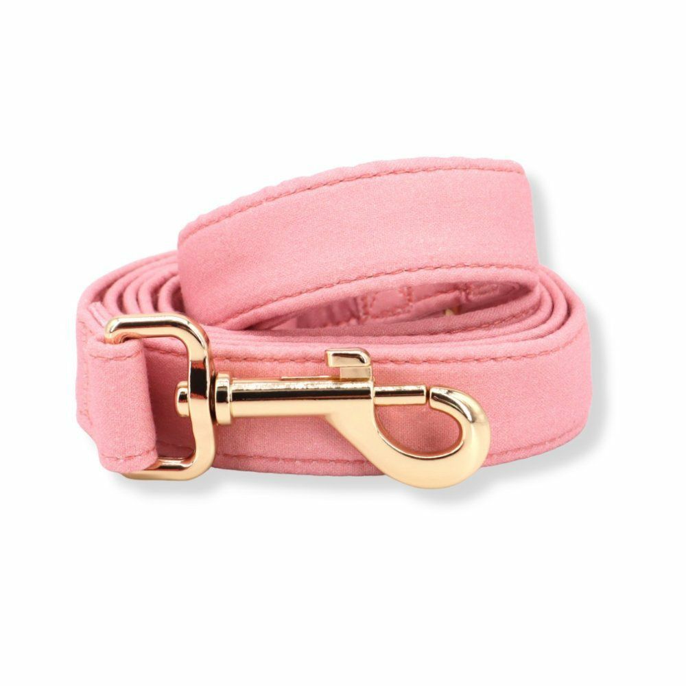 Leash | Dogs Baby Pink Unbreakable Leash™