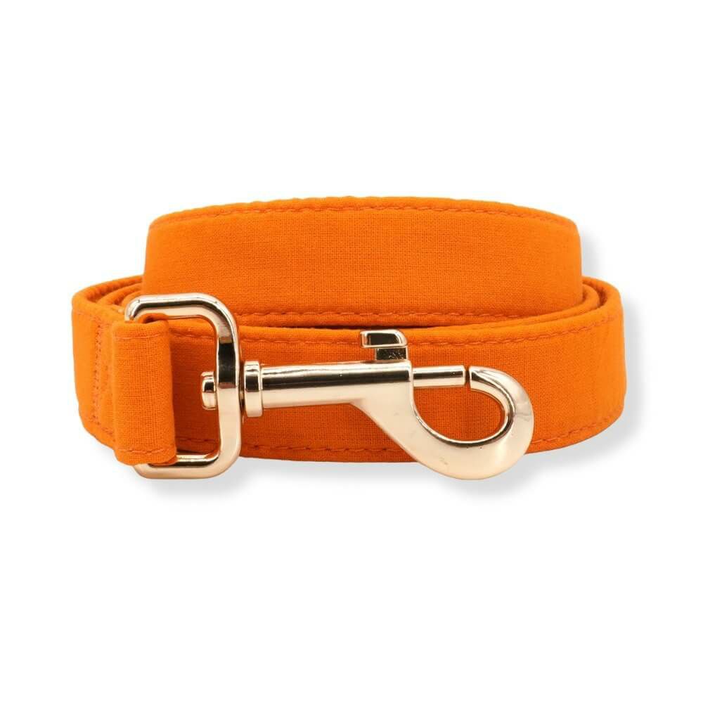 Leash | Dogs Bright Orange Unbreakable Leash™