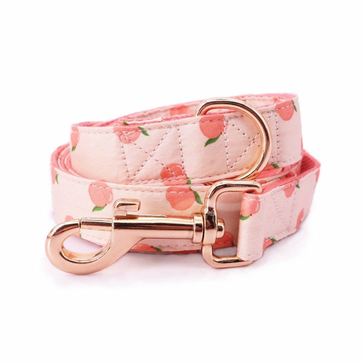 Leash | Dogs Peach Unbreakable Leash™