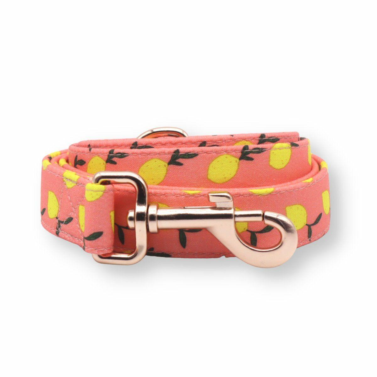 Leash | Dogs Pink Lemonade Unbreakable Leash™