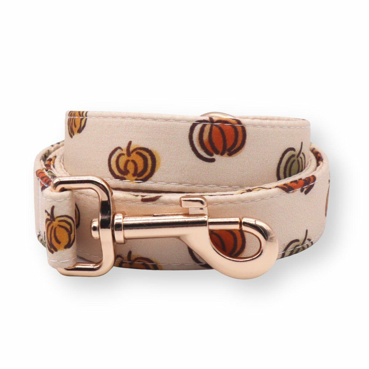 Leash | Dogs Pumpkin Unbreakable Leash™