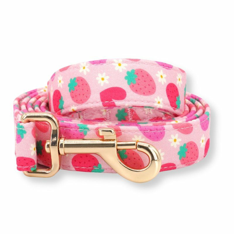 Leash | Dogs Strawberry Shortcake Unbreakable Leash™