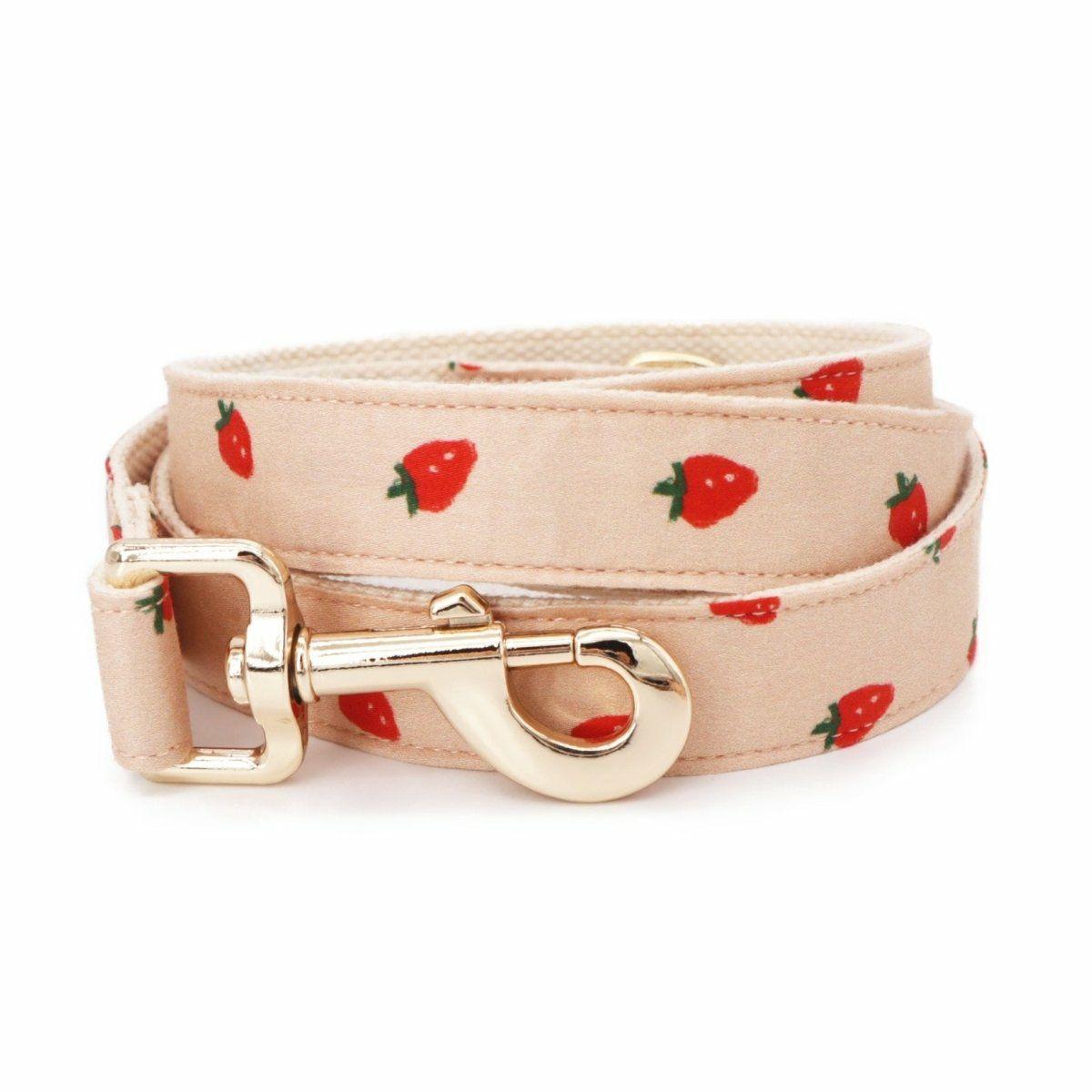 Leash | Dogs Strawberry Unbreakable Leash™